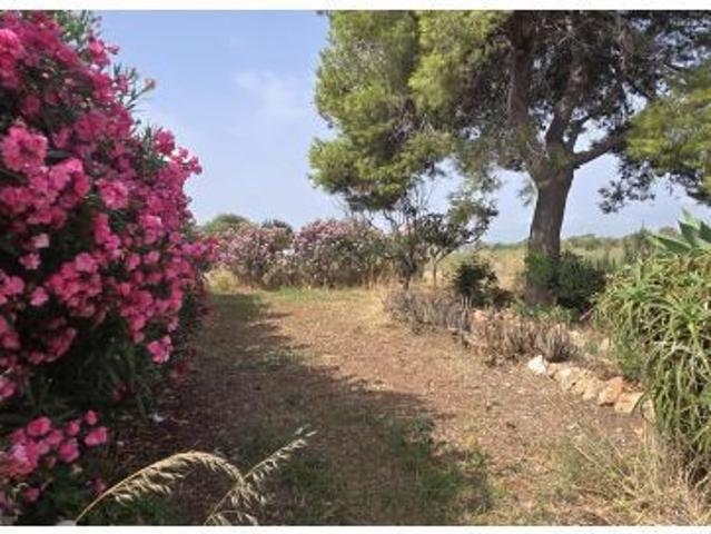 EN VENTA FINCA RUSTICA EN DOS VILAS VINARÒS. PARCELA DE 6150M2 CON UNA CASETA