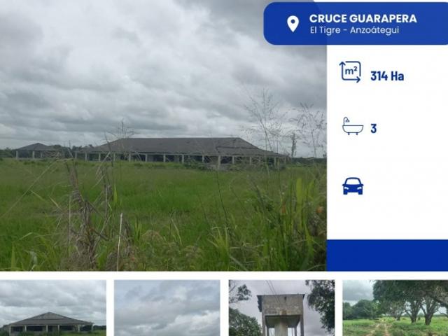 EN VENTA FINCA SECTOR MIGA MESA GUANIPA ANZOATEGUI VE03 09168FB MCTO