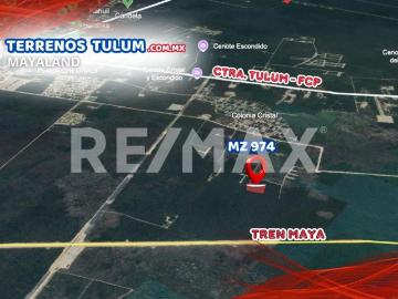 En venta hectárea en la region 11 mz 974