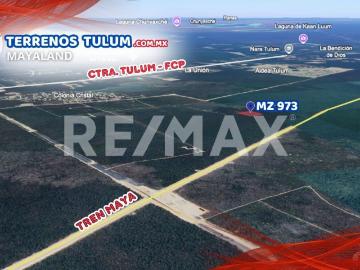 En venta hectárea en region 11 de Tulum