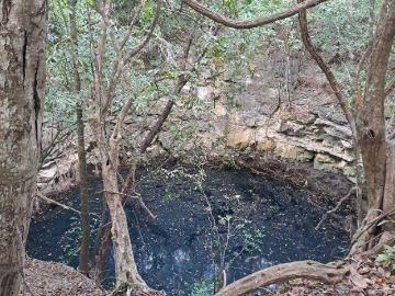 EN VENTA HERMOSISIMO RANCHO EN RIO LAGARTOS YUCATAN