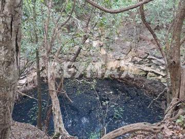 EN VENTA HERMOSISIMO RANCHO EN RIO LAGARTOS YUCATAN