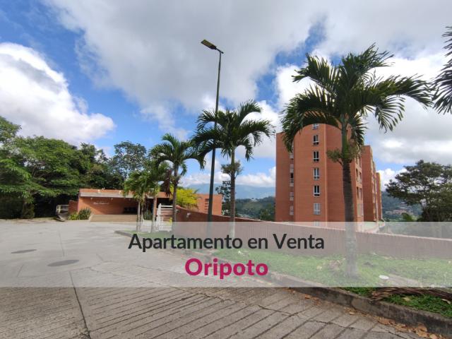 En venta hermoso apartamento en Oripoto con Terraza