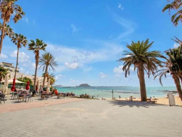 en venta La Oliva