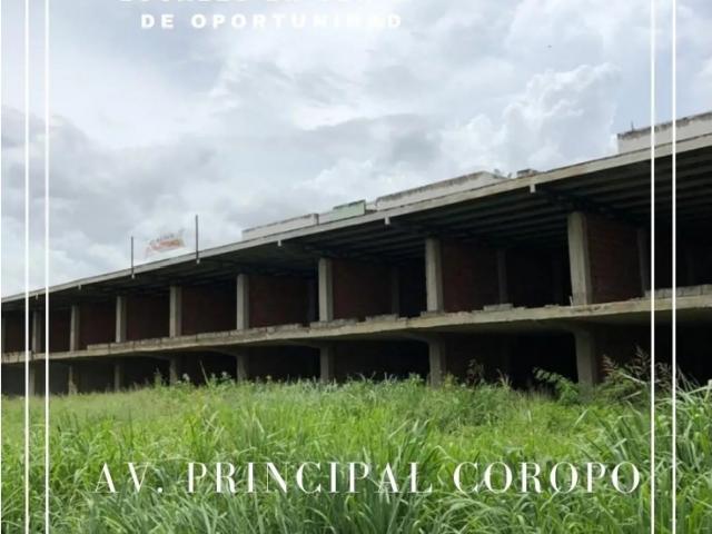 En Venta Locales Comerciales en la Av. Coropo Aragua Maracay