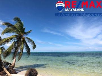 En venta lote con frente de playa en Punta Allen