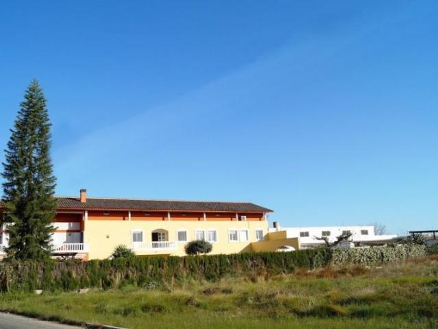 en venta Oliva