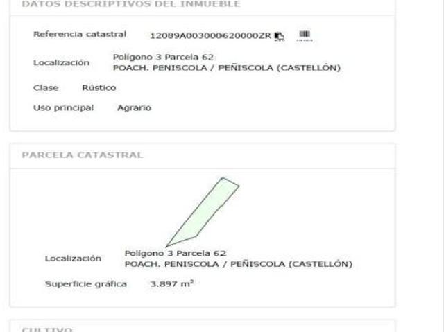 EN VENTA PARCELA DE SECANO EN TERMINO DE PEÑISCOLA!
