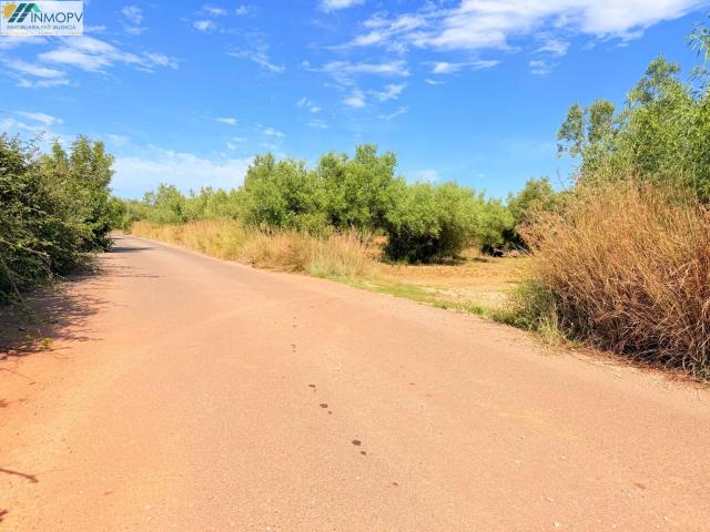 ¡OPORTUNIDAD! PARCELA RÚSTICA DE 3.900 m2 EN PEÑÍSCOLA CON ACCESO PROPIO Y POSIBILIDAD DE AGUA