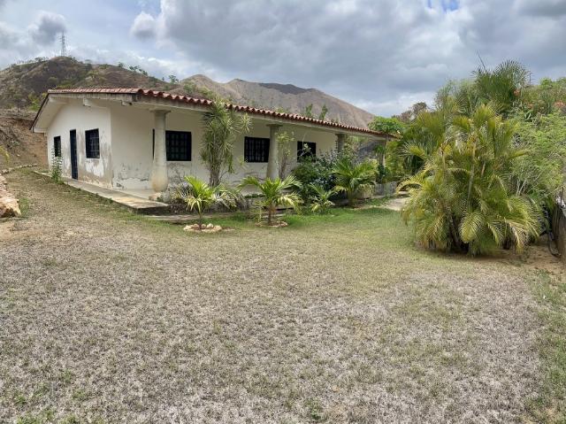EN VENTA PARCELA VILLA VIRGINIA VIÑEDO ENTRADA SAN JUAN DE LOS MORROS