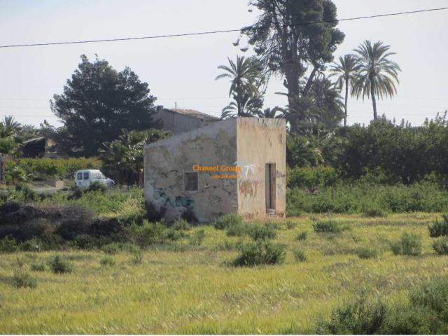 EN VENTA PARCELAS DE 16.000M2 ENTRE ELCHE Y MATOLA!