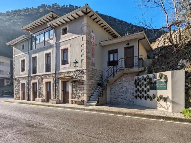 en venta Peñamellera Alta
