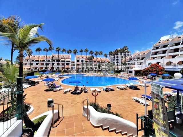 en venta Playa de las Américas