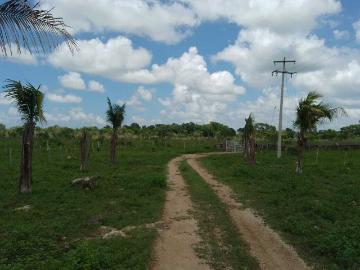 Rancho en Panaba, Yucatán