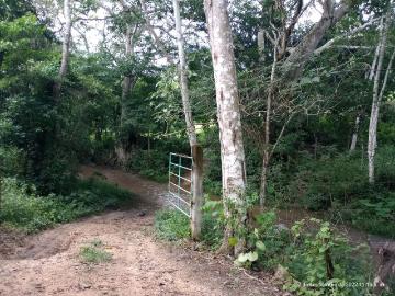 Rancho en venta en Julián Grajales, Jiquipilas, Chiapas