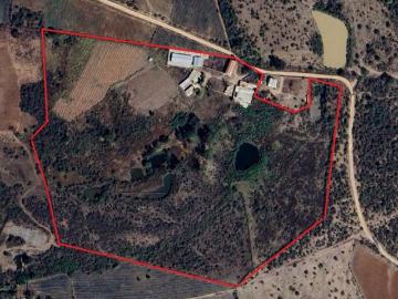 EN VENTA – RANCHO PRODUCTIVO EN SANTA MARÍA DEL VALLE, ARANDAS, JALISCO