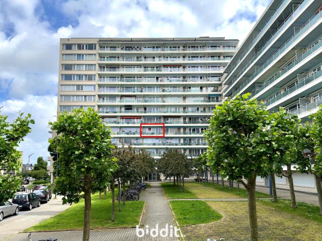 en vente publique Studio Evere Square Servaes Hoedemaekers