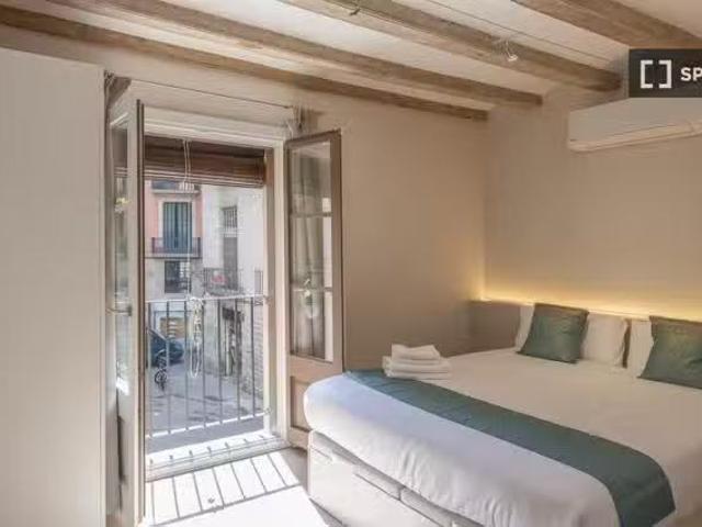 Nuevo Apartamento de 1 dormitorio en alquiler en El Gòtic, Bar.