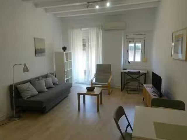 Nuevo Piso de 1 habitación en Carrer de l'Hospital, Ciutat Vella