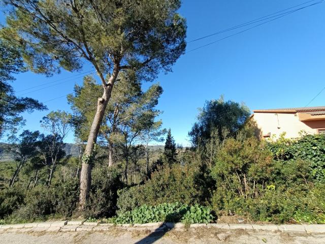 ¡En altura, entorno natural y vistas!