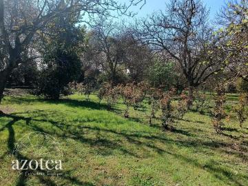 en BUIN