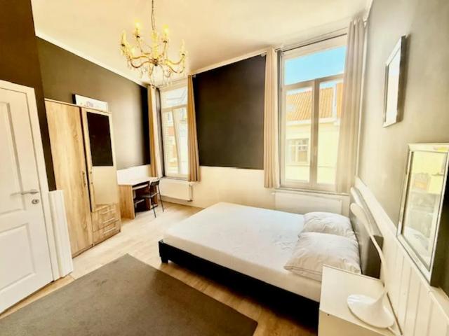en colocation Maison Woluwe Saint Lambert Chaussée de Roodebeek