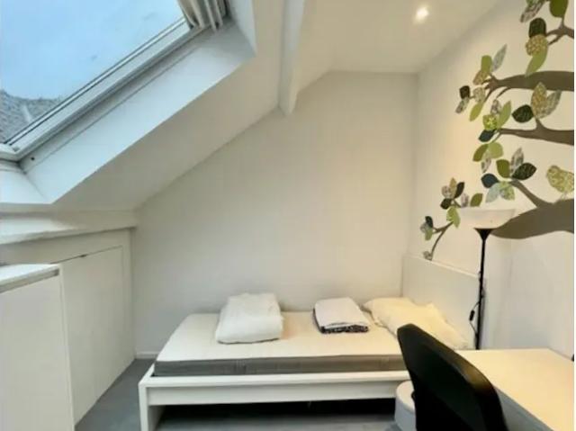 en colocation Maison Ixelles Avenue Brillat Savarin
