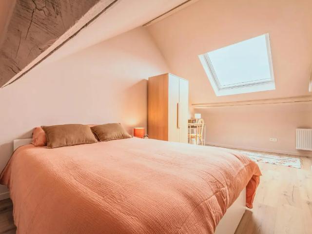 en colocation Maison Schaerbeek Boulevard Lambermont