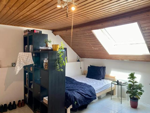 en colocation Maison Schaerbeek Rue de Robiano
