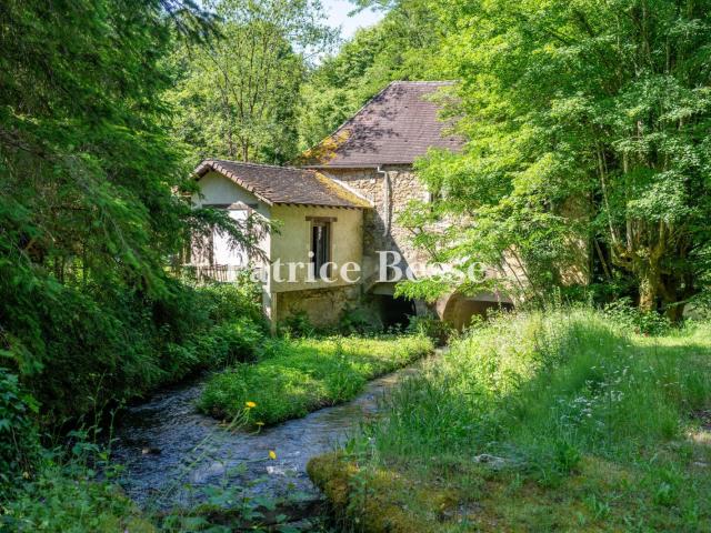 En Dordogne, dans le Périgord vert, un moulin du 17e s ave. 130m² Thiviers