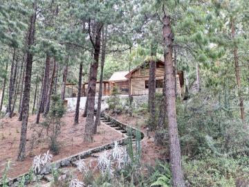 En El Cajas, casa Rustica de dos pisos, puede ser su refugio en un bosque de pinos