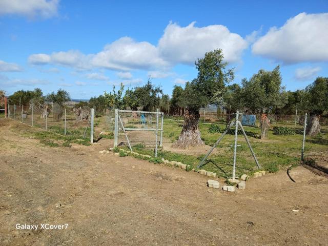 En esta ocasión le ofrecemos una magnífica finca a 4 kilómet. 90m² Niebla