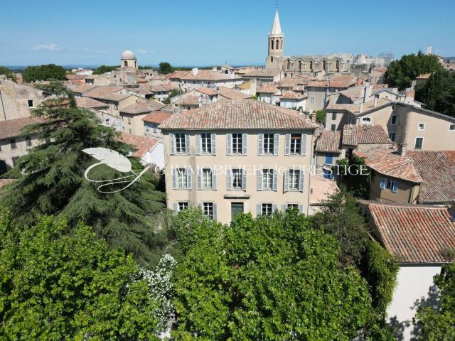 En exclusivité un hôtel particulier d'exception au cœur du p. 450m² Carpentras
