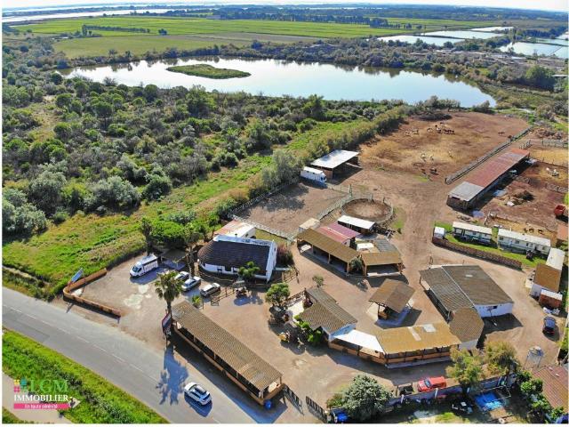 En exclusivité à vendre: RANCH Le Grau du Roi Terrain e. m² Le Grau du Roi