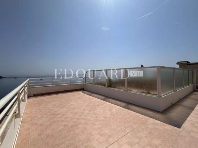En exclusivité deux pièces avec terrasse, magnifique vue mer, spectaculaire solarium, spacieux parking