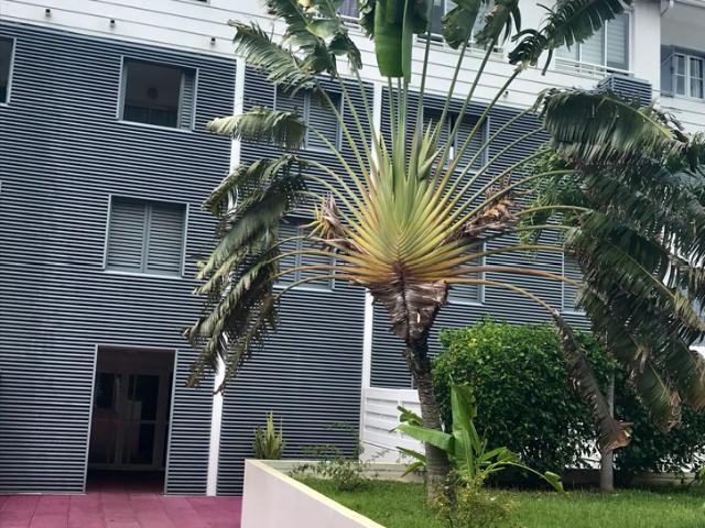 En location Appartement 1 pièce 18 m
