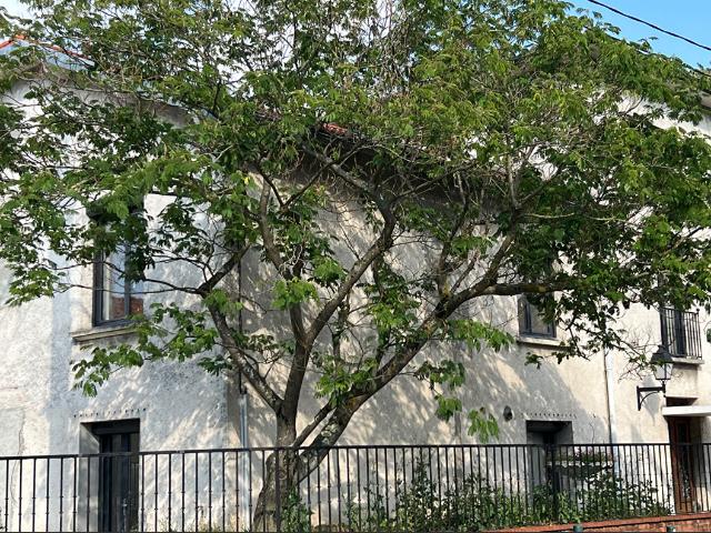 En location Appartement 1 pièce 19 m