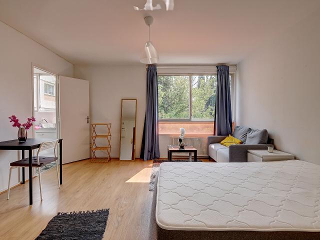 En location Appartement 1 pièce 29 m