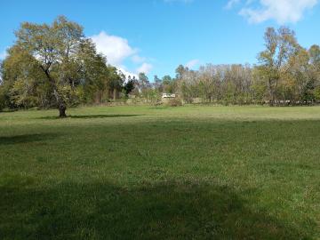 en PANGUIPULLI