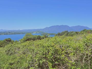 en PANGUIPULLI