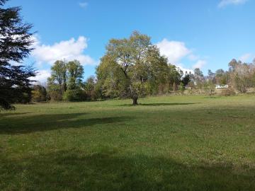en PANGUIPULLI