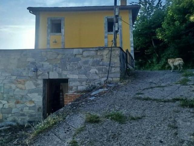 EN PLENO PULMÓN DEL NARCEA