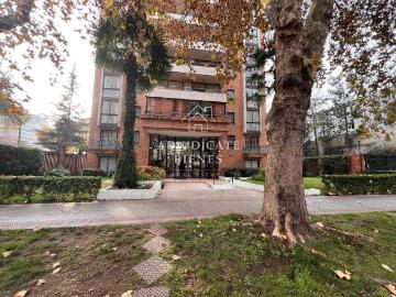 en PROVIDENCIA