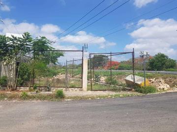 EN RENTA EXCELENTE TERRENO EN ESQUINA SOBRE PERIFERICO Dzununcan