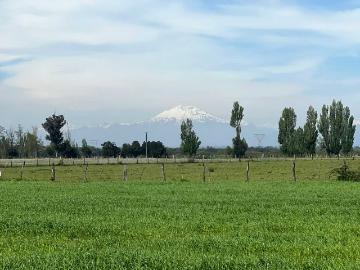 en ÑIQUÉN