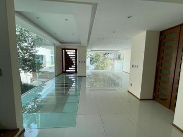 Enorme Casa en Coyoacan con jardín y Roof Top