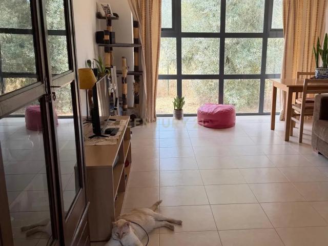 Encantador T1 em Quinta do Anjo, Palmela