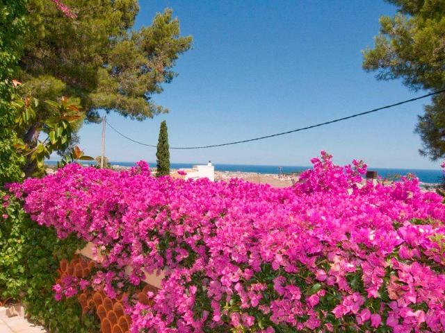 Encantadora villa que bordea el Parque Natural del Montgó, e. 188m² Dénia