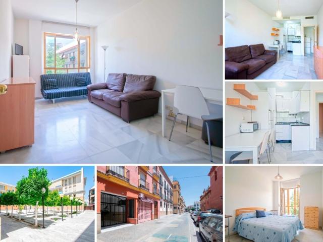Encantadora vivienda en el codiciado barrio de Triana