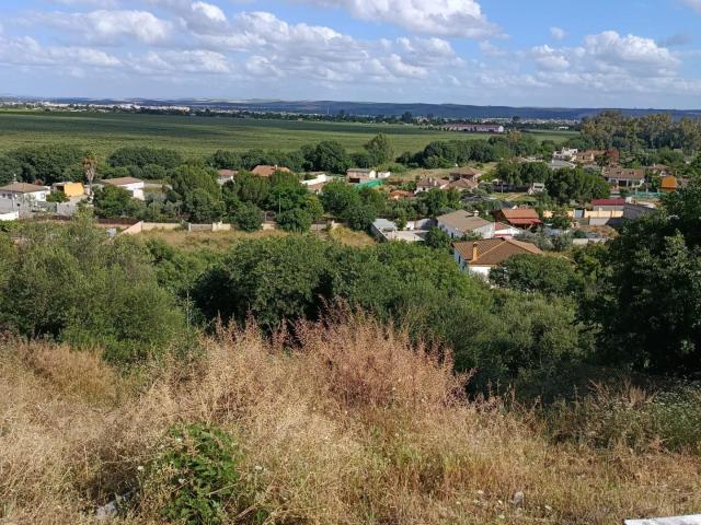 Encantadora Casa con Terreno en Cuevas Bajas, Almodóvar del Río por solo 80.000 €